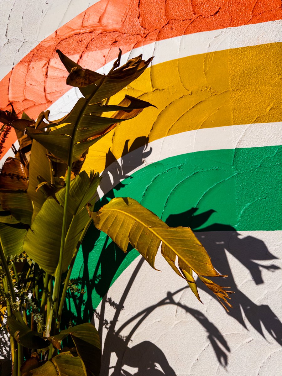 LX (@srgrz6) on Twitter photo 