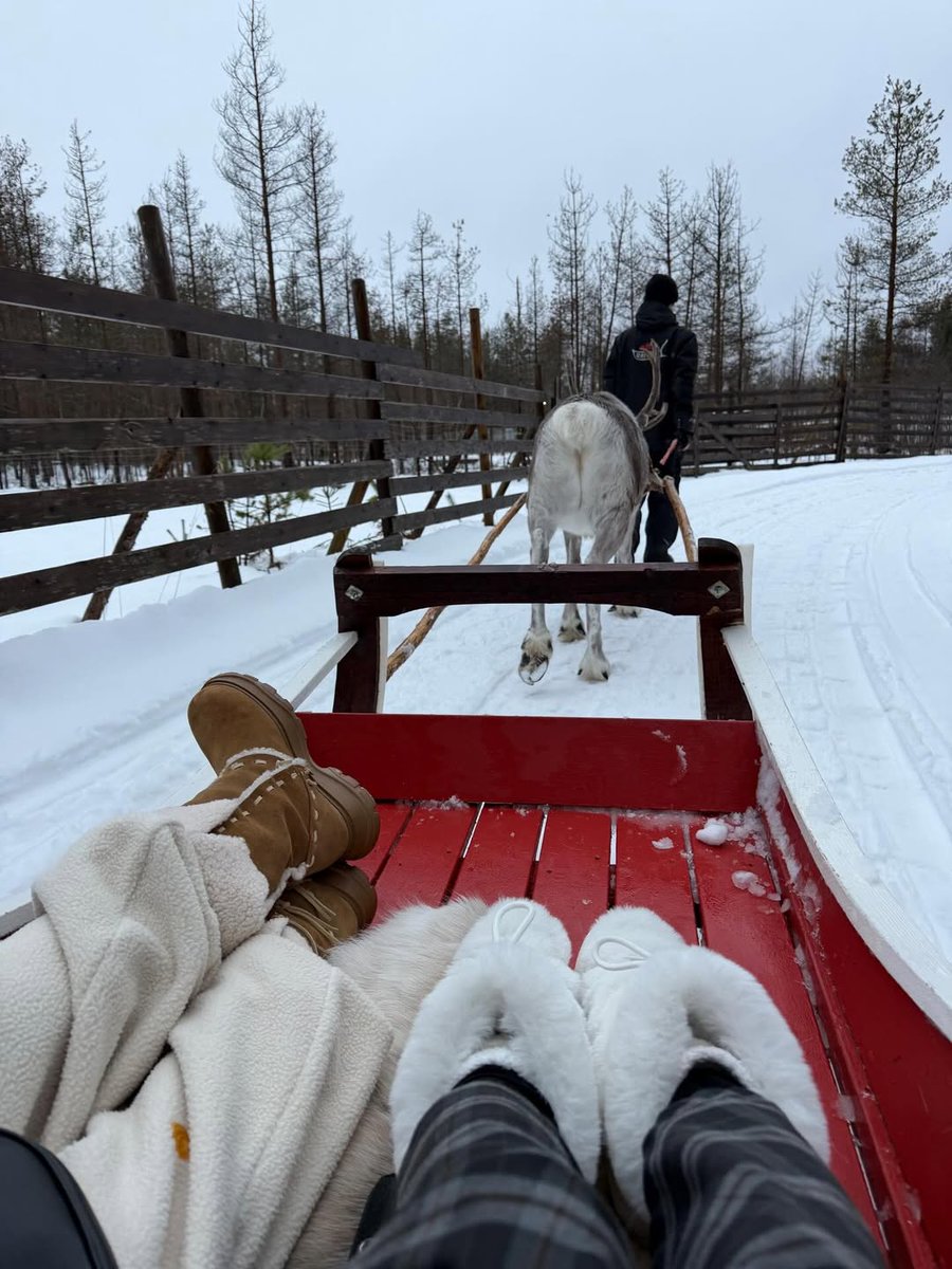 ͙͘͡★ tweet media