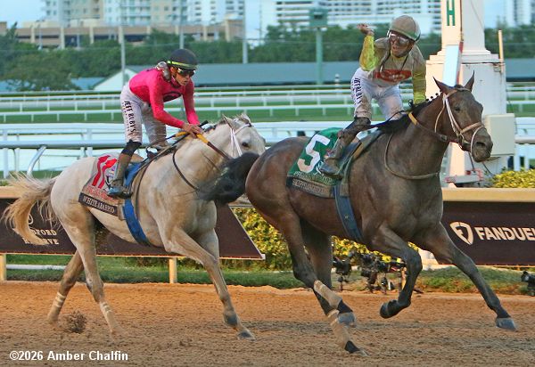 horseracesnet's tweet photo. Pegasus World Cup (G1) - Skippylongstocking caught stablemate White Abarrio to win the $3 million Pegasus World Cup (G1) at Gulfstream Park on Saturday by 1 3/4 lengths with Full Serrano third.  Get the results, chart, and photos here. https://t.co/ENAvofEOFr https://t.co/x0RbX4M44X