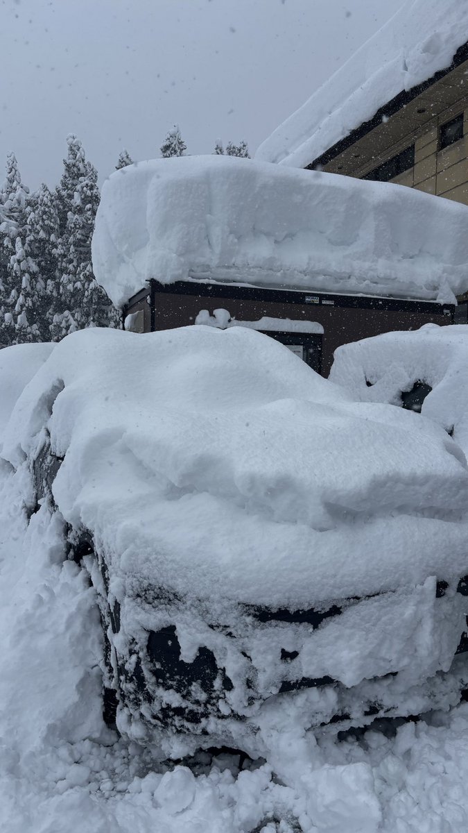 一晩でコレ

南魚沼市で働かれる方は、退勤後に自車の雪かきをして帰るらしい、ひえー