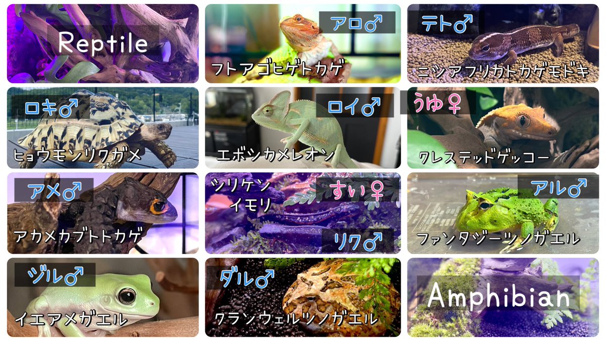 ゆんねる tweet media