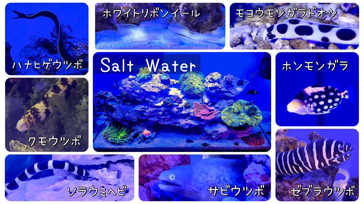 ゆんねる tweet media