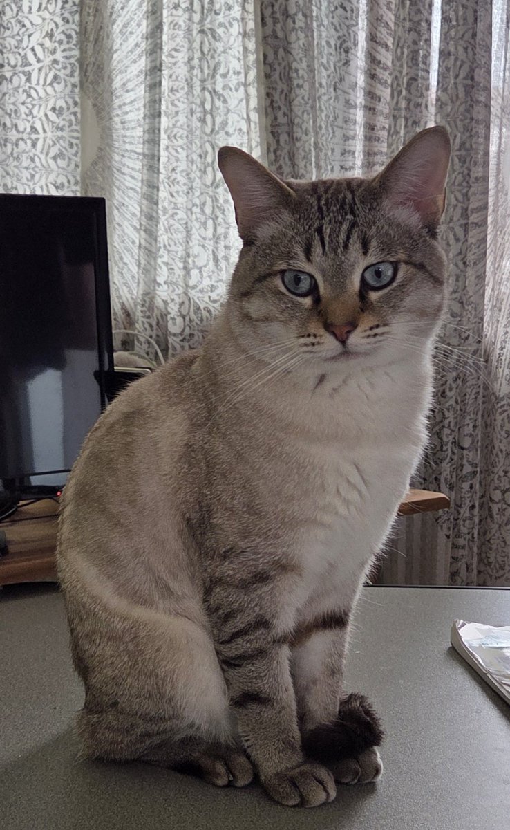 虎徹おじさん (@lenasnagamimi) / Posts / X