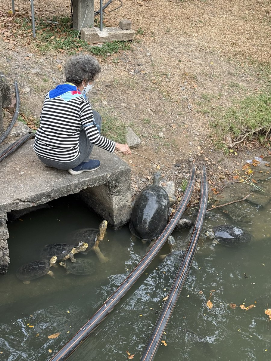 JNutharin's tweet image. ถ่ายเดือนก่อนค่ะ