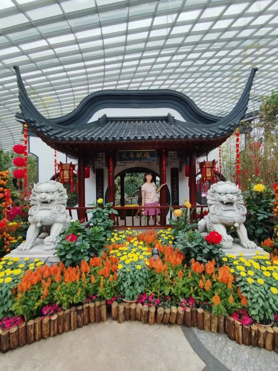HuiPingFoo1's tweet photo. 一分之二。Two of One. 페리페라. 常春🌼。1st CNY till 25th CNY. #一分之二 #twoofone #페리페라 #常春 #gardensbythebaysingapore https://t.co/06twZLxPMR