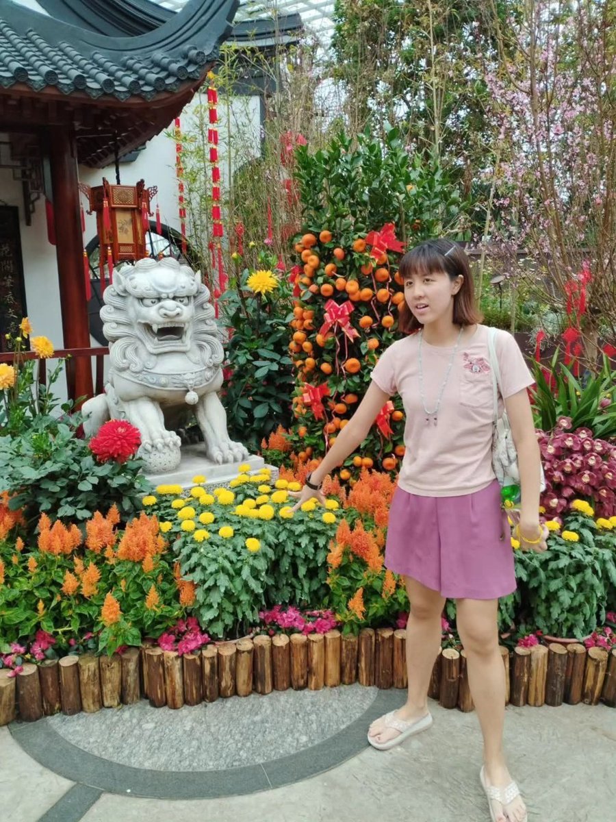 HuiPingFoo1's tweet photo. 一分之二。Two of One. 페리페라. 常春🌼。1st CNY till 25th CNY. #一分之二 #twoofone #페리페라 #常春 #gardensbythebaysingapore https://t.co/06twZLxPMR
