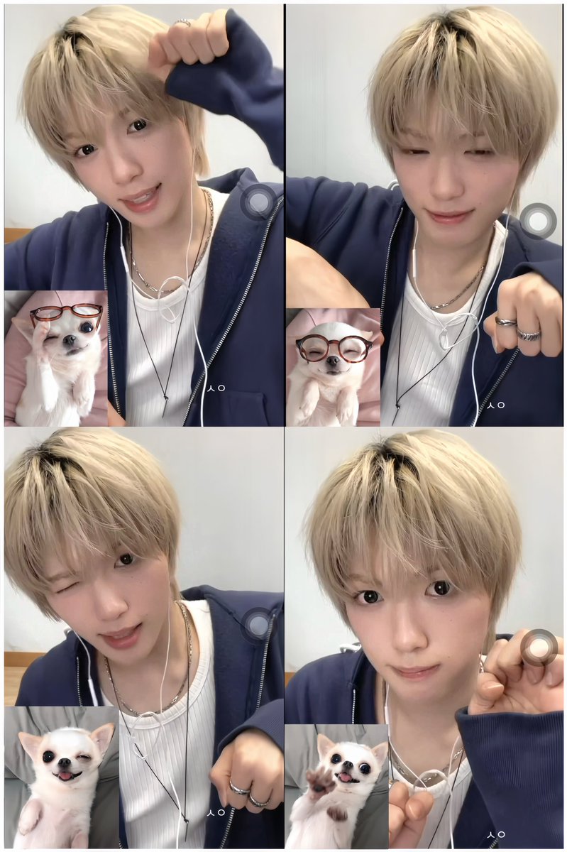 Shiyi_11v's tweet photo. 치와와ㅓ  ՞ฅ´ ꄃ ˋฅ՞

#idntt #아이덴티티 #アイデンティティ
#yesweare  #김성준 #kimseongjun https://t.co/LMILq6LCtI