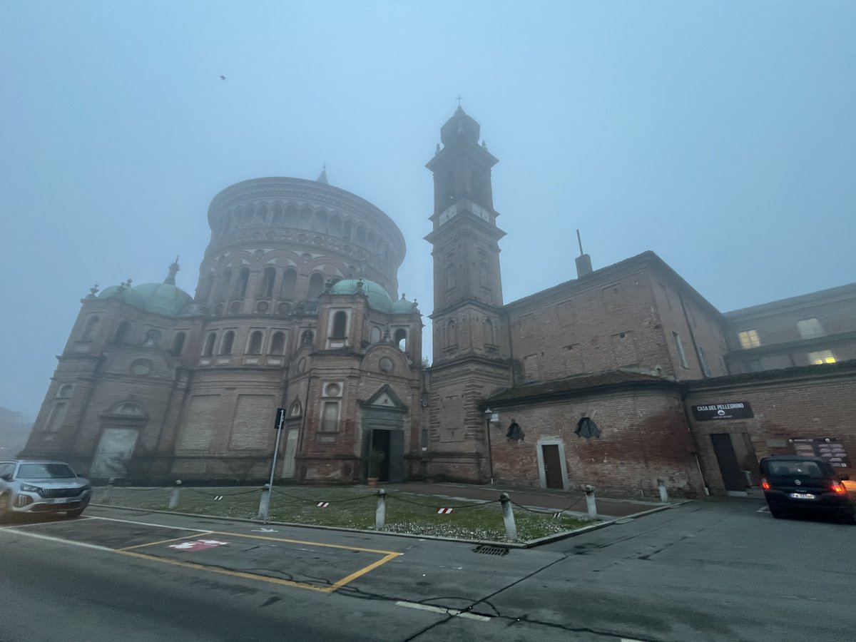 stemauri75's tweet image. 