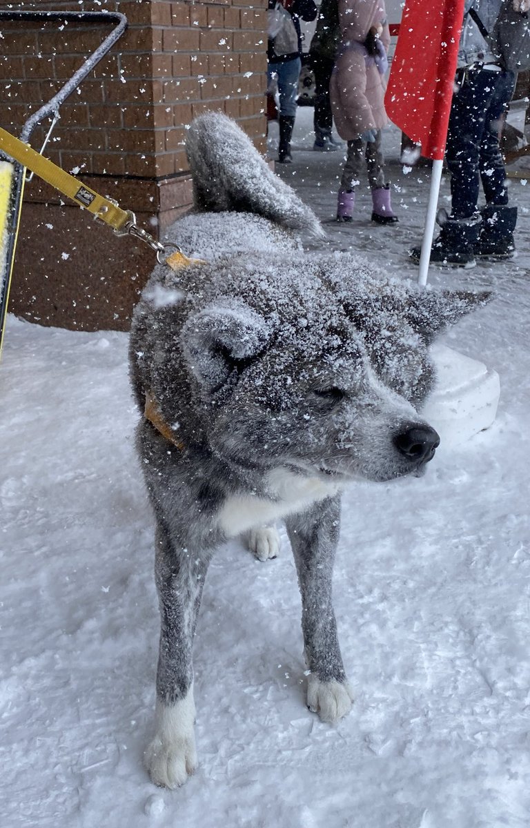 ْ (@65907_30_4) / Posts / X