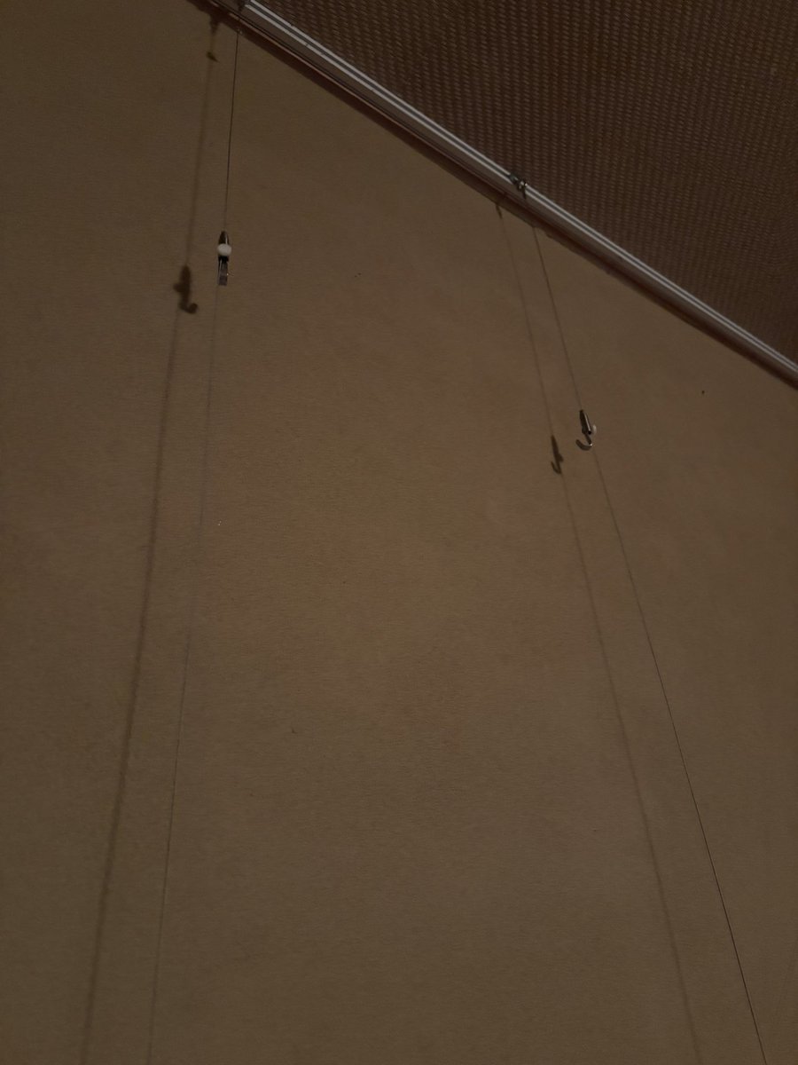 koh-杲-(コウ) tweet media