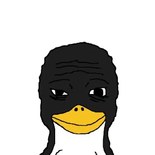 devvy tweet media
