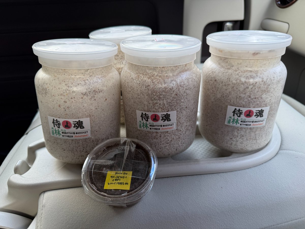 本日もありがとうございます！ フェイスタメルは多くの方にチャレンジ