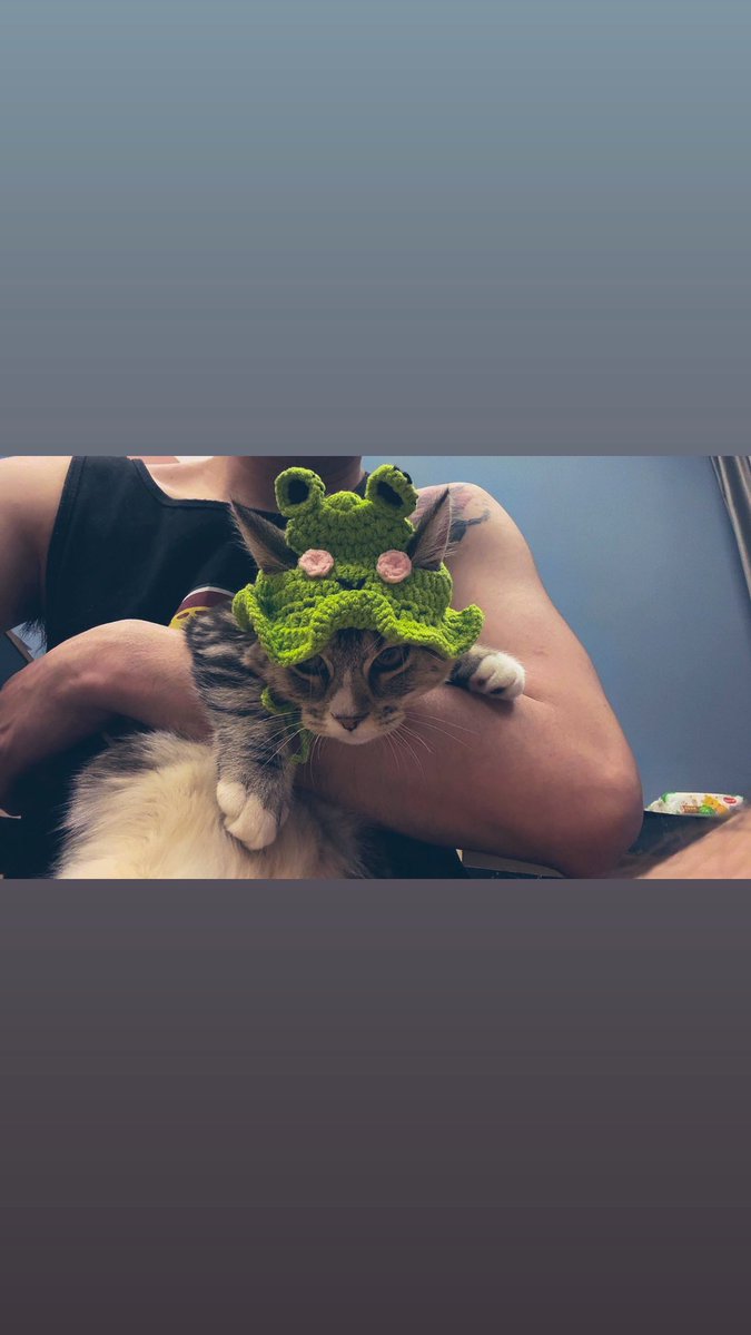 skyjump1010's tweet photo. 原來是青蛙🐱 https://t.co/SmtlfBEUWw