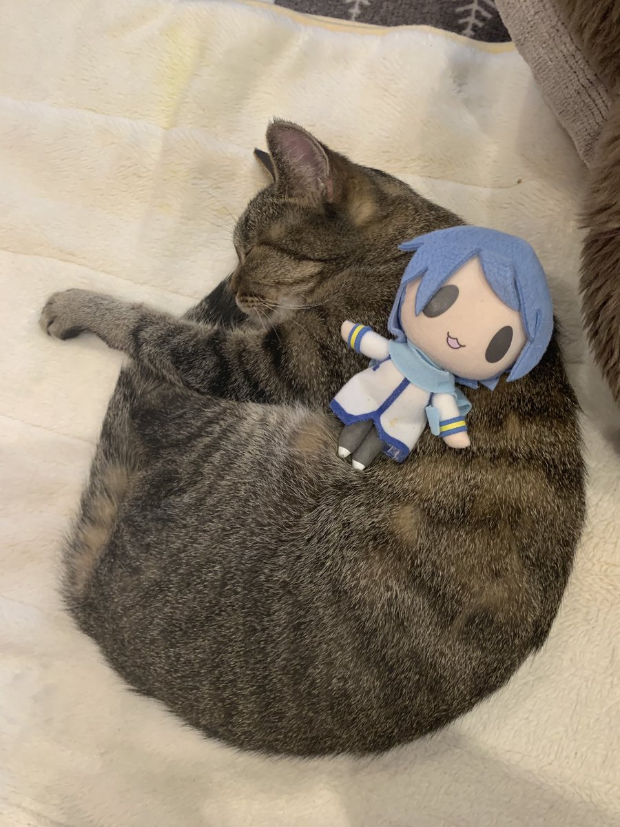 風雅なおと(NAOTO FUUGA/NAOTO FUGA)SINGER tweet media