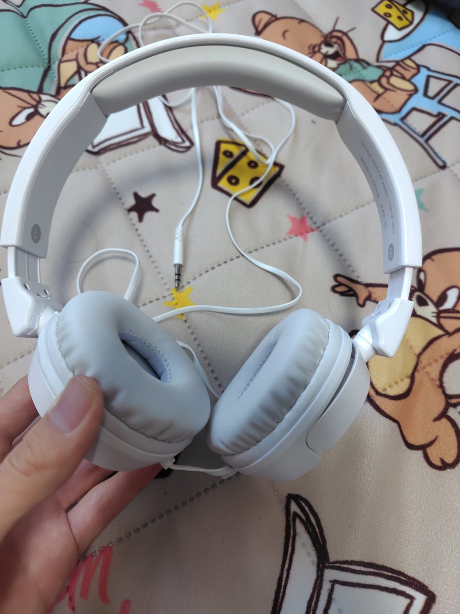 サンタモニカで買ったヘッドホン本立て サンタモニカで買ったヘッドホン本立て サンタモニカで買った