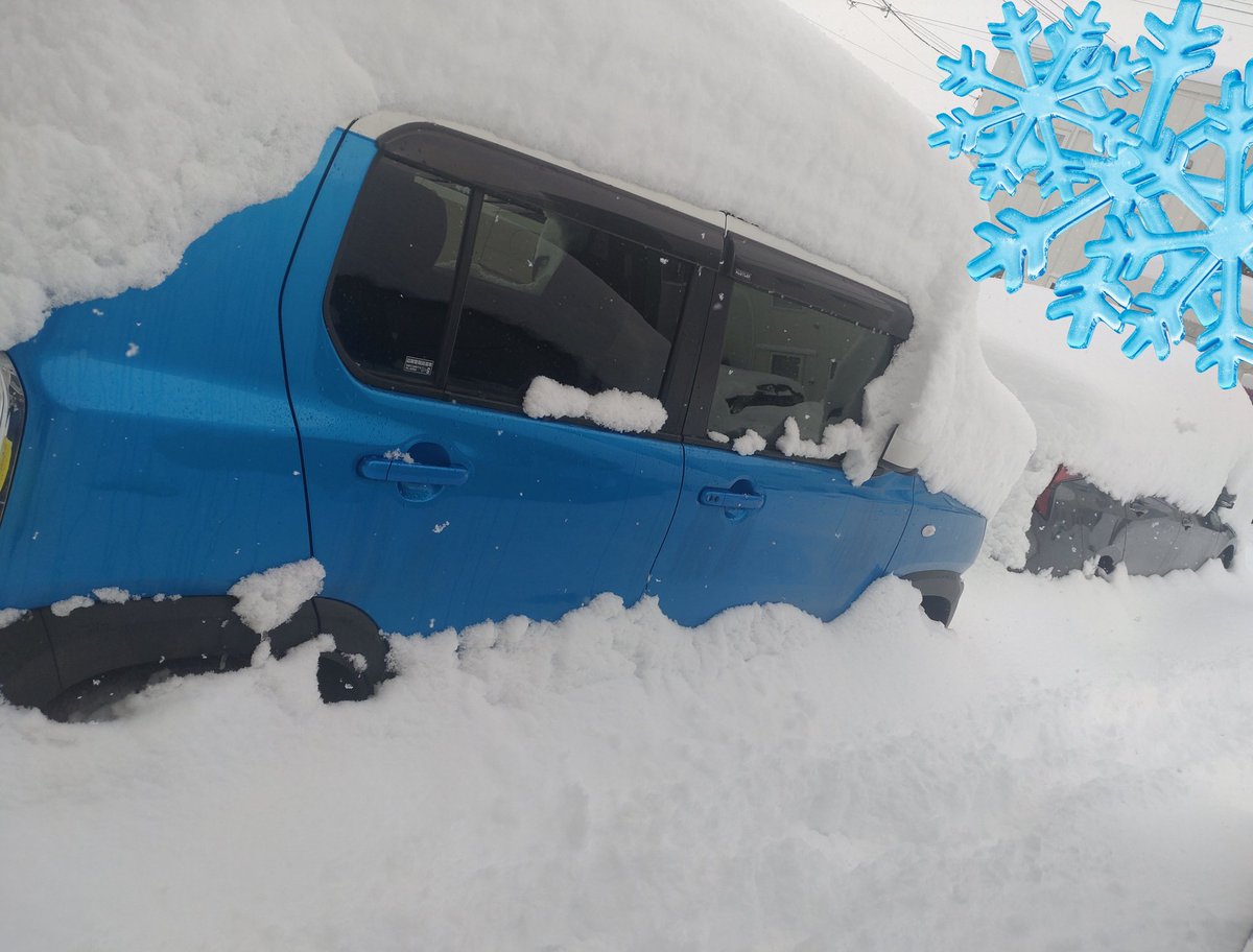 みかりん (@fantabulousegao) / Posts / X