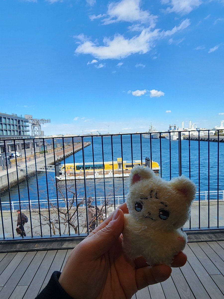 この写真を最後にチェンニャンを失くしました··· ヘマーヘッドの近くのカフェに置いて来たのか途中でどこで落としたのかさっぱり分からない..ㅠㅠもし横浜の街でチェンニャンを見つけたらぜひ連絡してください...🥲
#ArcadiaYOKOHAMA #ArcadiaTour #YOKOHAMA #HammerheadPark #ZebraCoffee