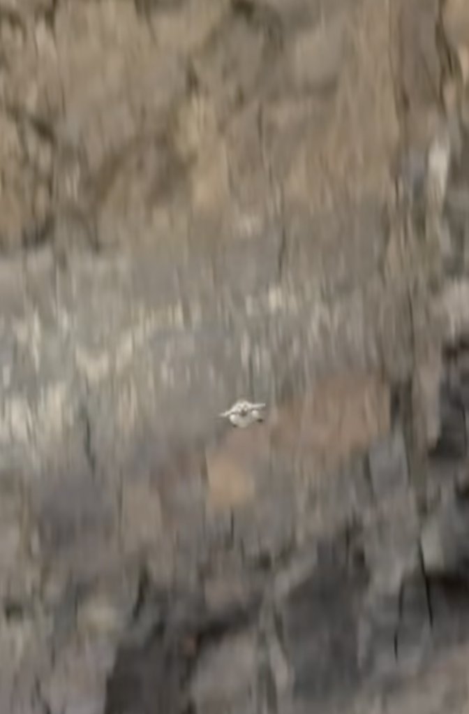 <a href="/AutismCapital/">Autism Capital 🧩</a> FqKqZQv1TdHcydchS76CQZGjeU4qejEmmCUfgWfKpump