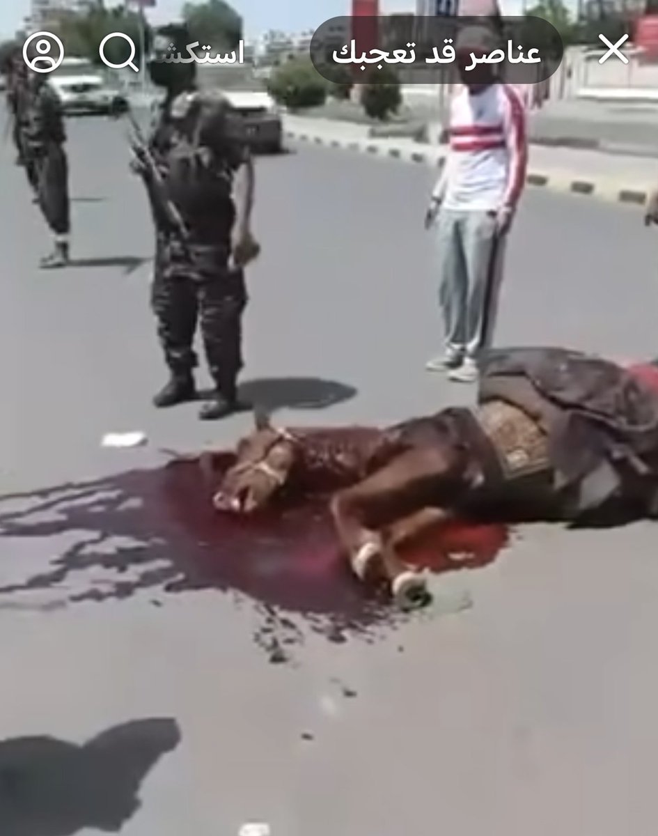 Ga1552015's tweet photo. اخرج في صنعاء باعلام الحمهورية واكد للعالم ان صنعاء مع الجمهورية اولا...
اما عدن فهي جنوبية وعاصمة الجنوب الابدية. https://t.co/VVtaMJJmhy