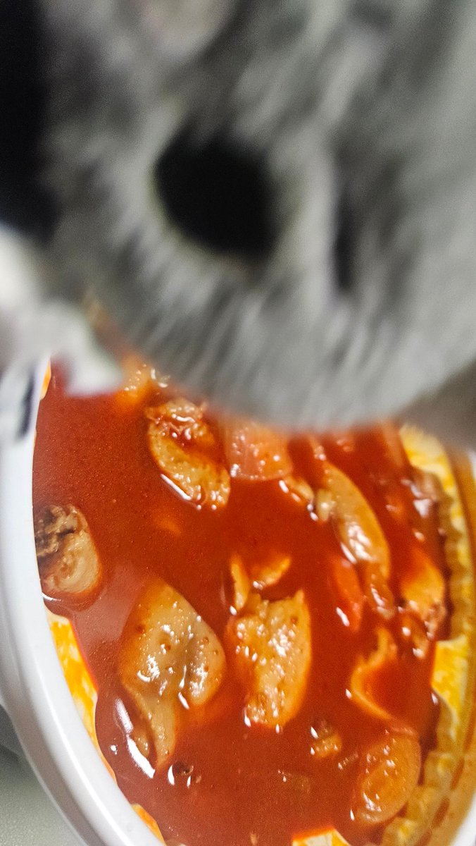 what_H0_ate's tweet photo. 260125
엽기닭볶음탕 https://t.co/ZVrBe7hvip
