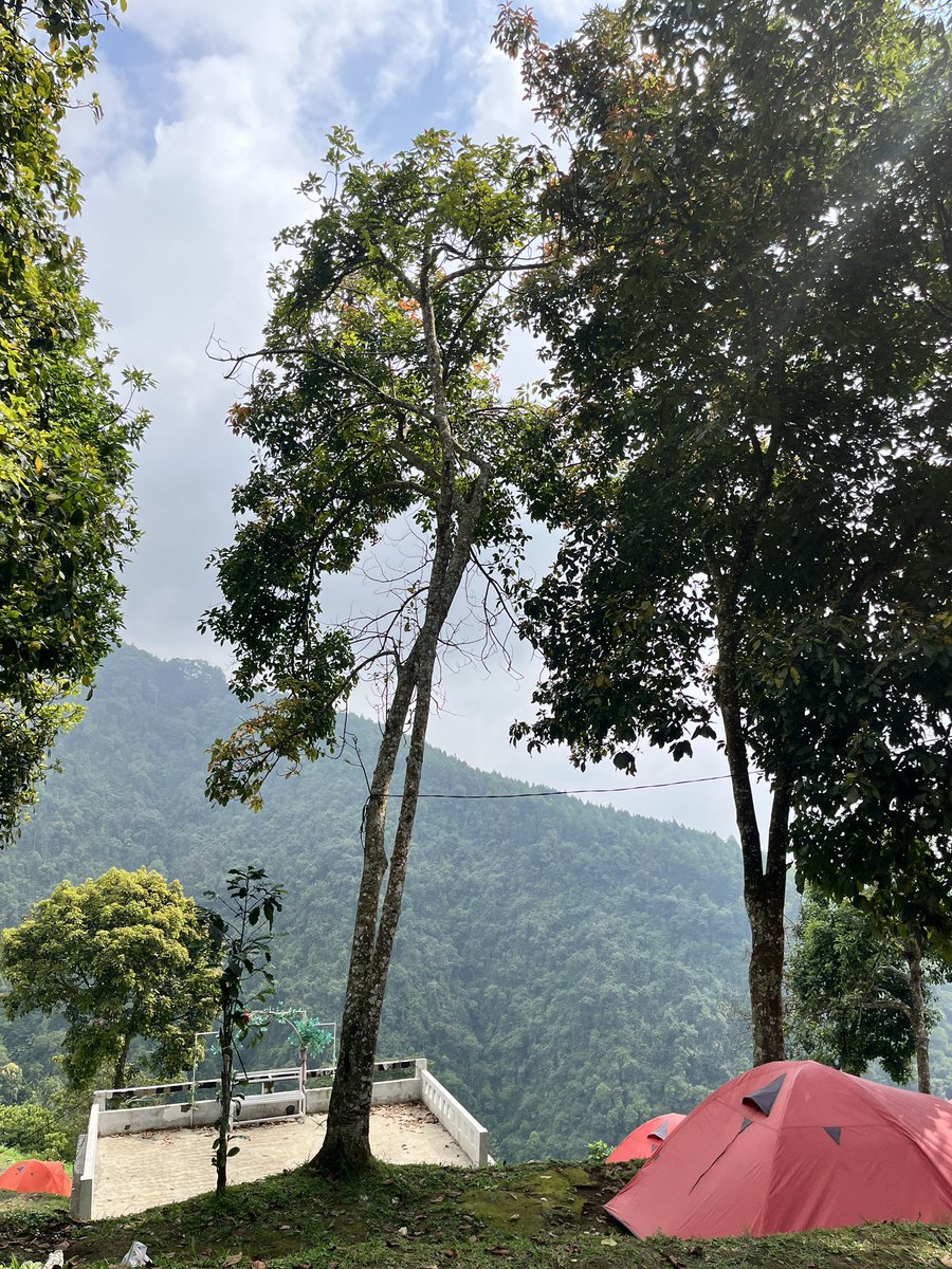 bitircip's tweet image. long before we both thought the same thing