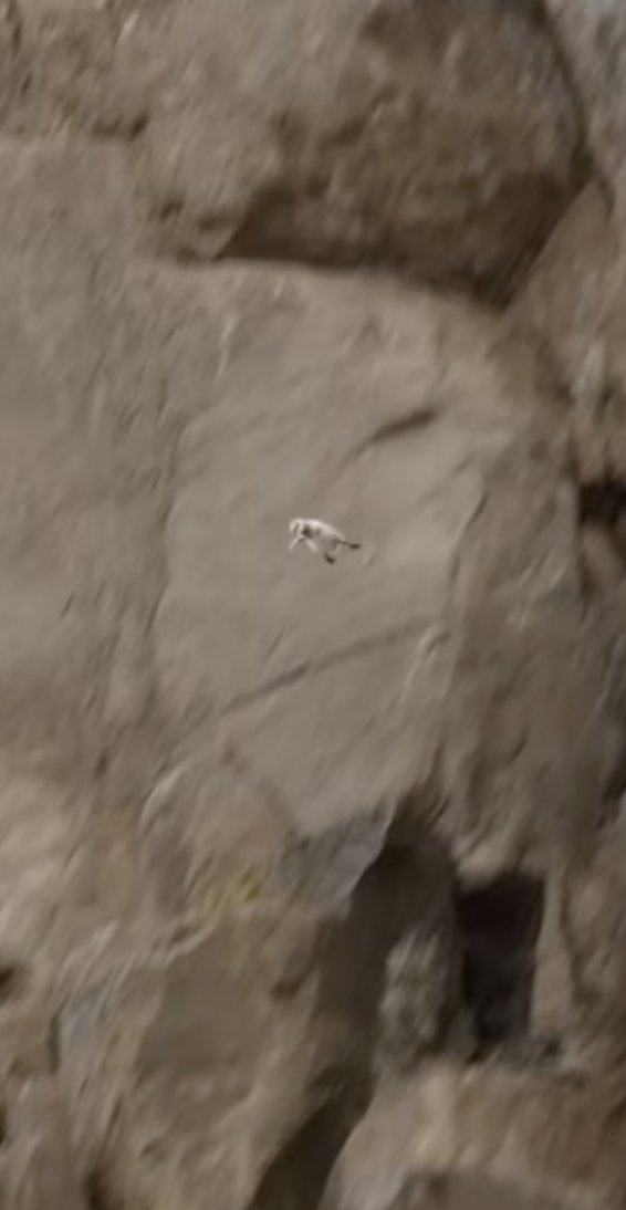 $trust bro we got this