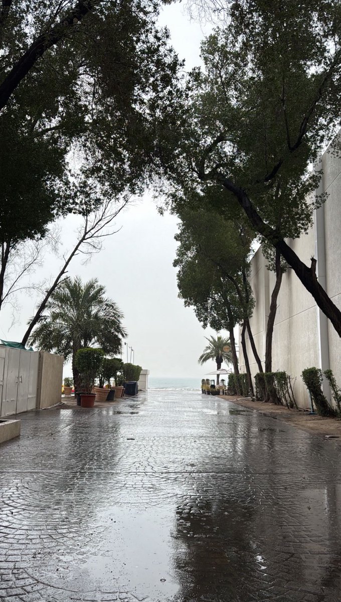 «مطيح المطر بالأرض يشبه مطيح خطاك  
على جرف جفني يا مطر ناظري مري  

أحبك وأقول إني أحبك ولا يخفاك  
أنا المعجب المعلن وأنا المعجب السري»