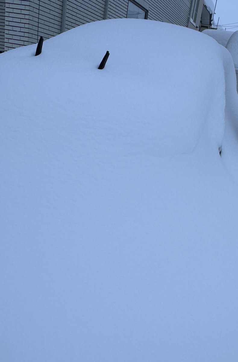 tsukeNg's tweet image. うちの車です⛄️