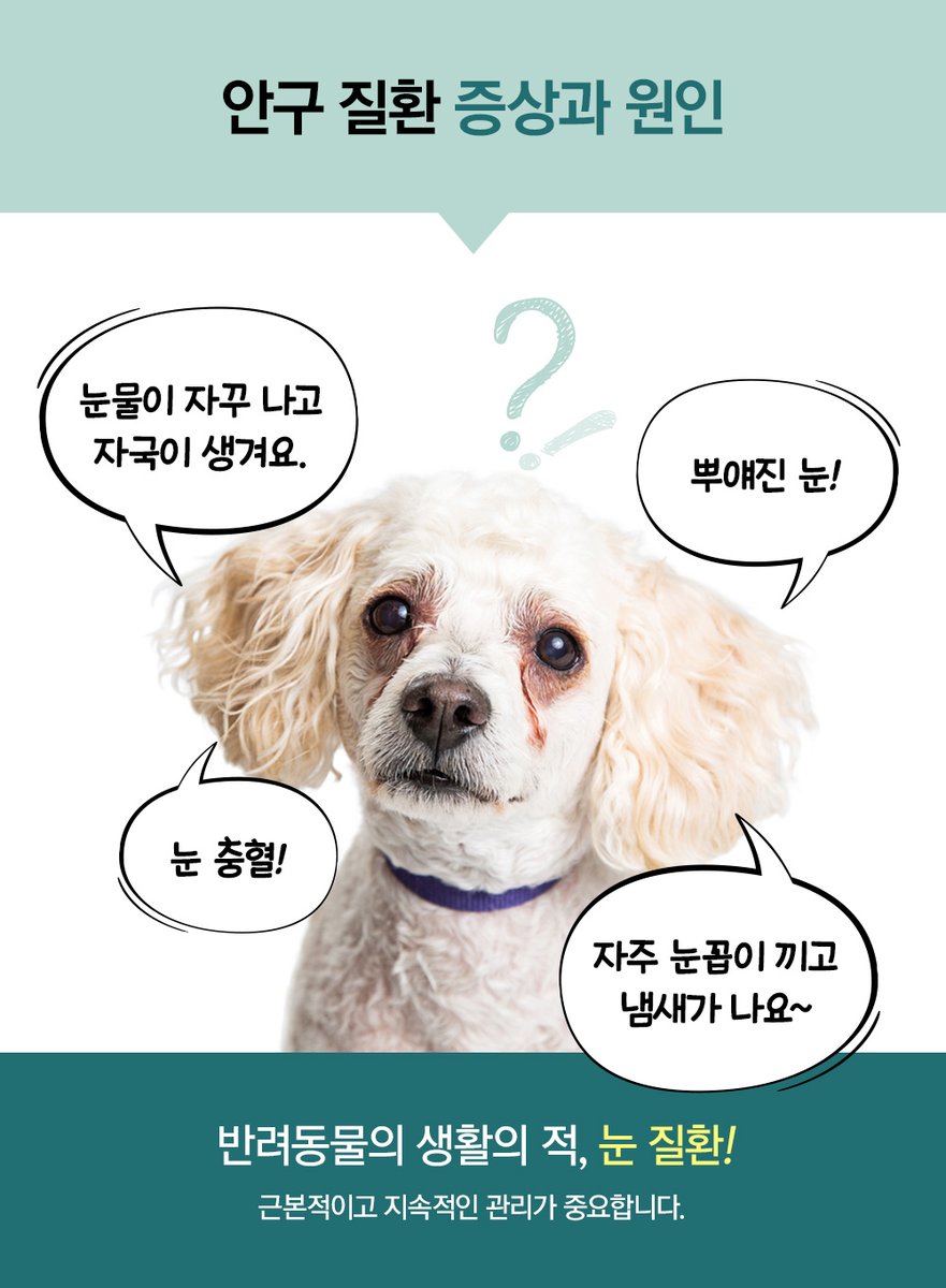 goldnwind's tweet photo. 강아지 눈건강에는 오래된 <눈물싹싹> https://t.co/vOgbiTv0UG