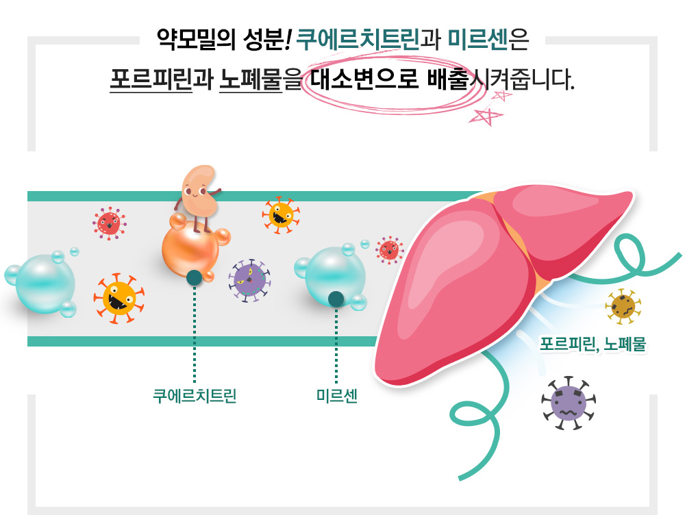 goldnwind's tweet photo. 강아지 눈물의 철분��분이 산화 흔적 = 눈물자국 https://t.co/0jiKn9Uc8O