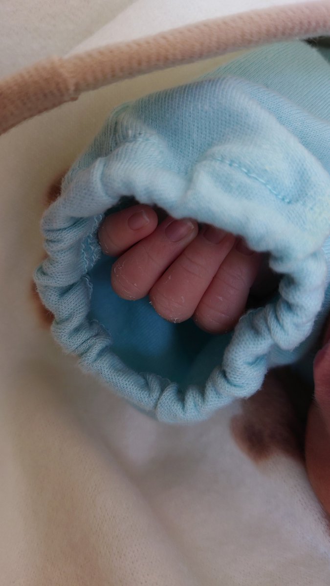 Shuwan_cell's tweet photo. ついったのみんなたちに報告です。

先日、しゅわまりの子どもが産まれました。
今は3人で暮らしています。
昼夜関係なし、てんてこ舞いな日々です。

引き続き、しゅわまりをよろしくお願いいたします。 https://t.co/vmMu5hEUTZ