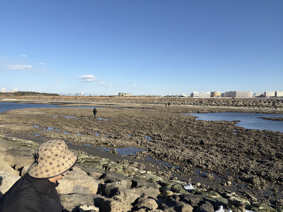 今日の葛西臨海公園の東なぎさ。
ラムサール条約登録湿地であり、立ち入り禁止の看板も多数あるのに複数名が立ち入っていた。本人たちから聞き取った限りでは日本人2名、ベトナム人2名、中国人2名、インド人？3名。ベトナム人は牡蠣を獲っていたし、インド人は堤防の裏まで入っていた。本当に酷い状況