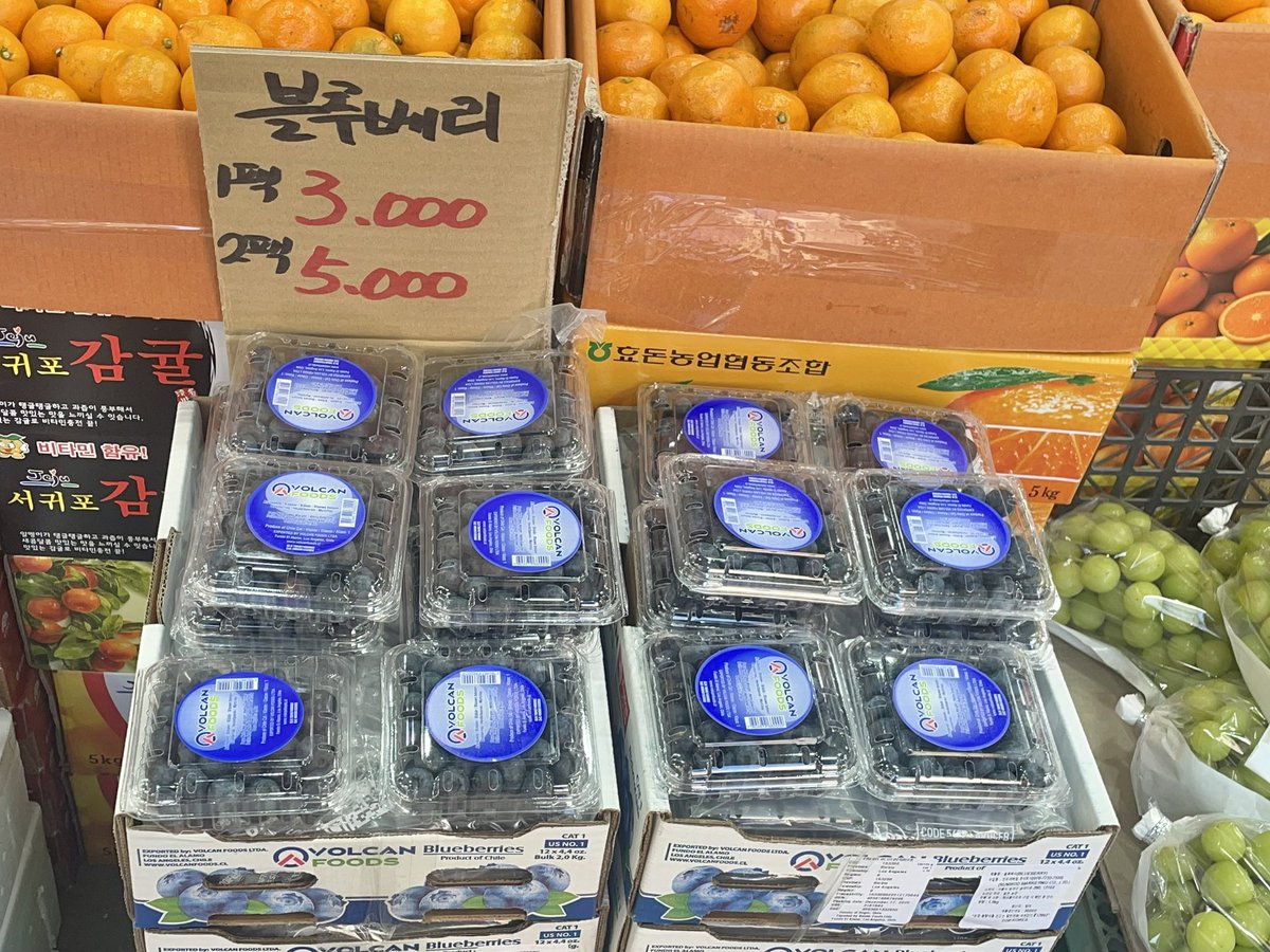 LifeLychee's tweet image. 담달 설시즌 과일 비싸지기 전에
망원시장
과일소ㅑ핑 레츠 고 ! 🍎🫐🍒

모바일 온누리 상품권쓰러 왔어!

시장 안쪽보다 입구가 훨씬 싼데,
모바일 온누리 상품권 못 써!
실물 상품권으로 바꿔오면 가능!

시장 안쪽은 입구에 비해
과일 가격이 2배까지 올라가 ㄷㄷ…
대신 모바일 상품권 쓸 수 있는…