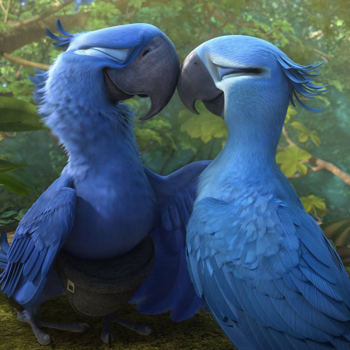 AcervoCharts's tweet image. Terceiro filme da franquia “Rio” está em produção pela Disney.

A história pode abordar o risco de extinção da ararinha-azul.