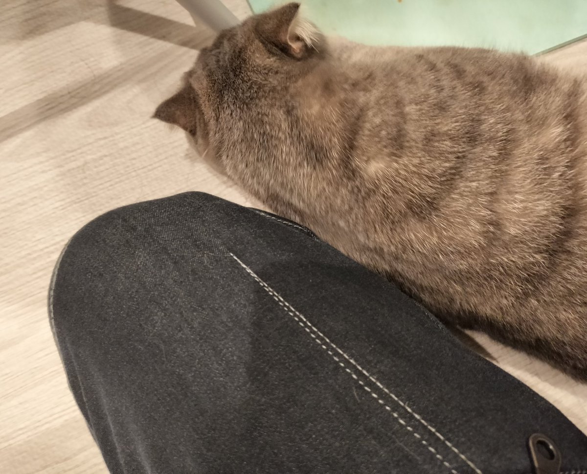 くーちゃんが妙に甘えてくる。