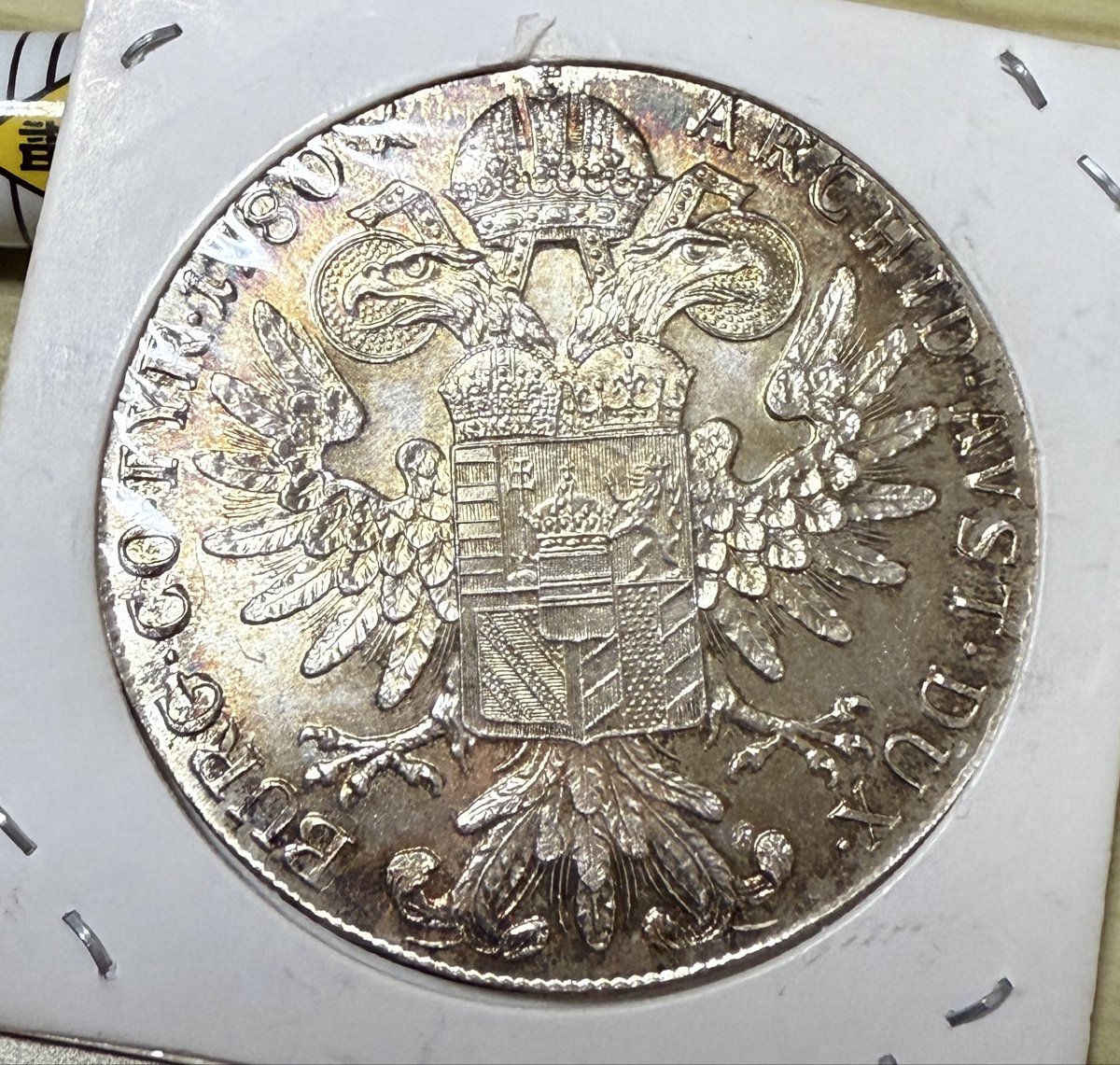 ポン太 (@totokoponpon) / Posts / X