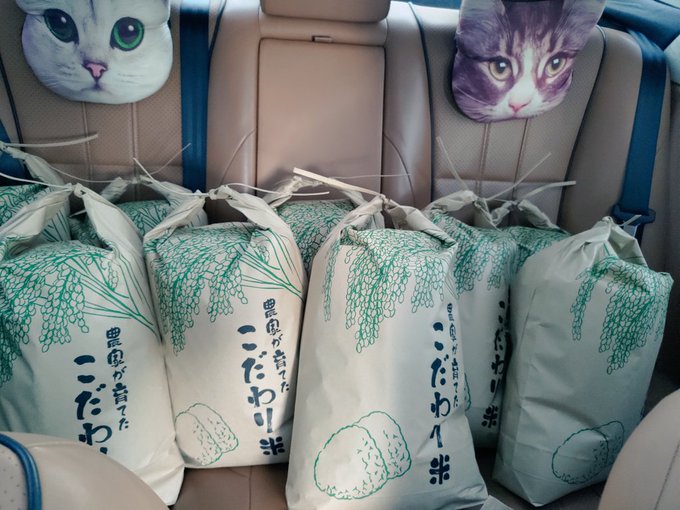 コシピクリ通販第二期、精米完了しました。これから発送します。
車の中、前も後ろもトランクも米だらけ。 