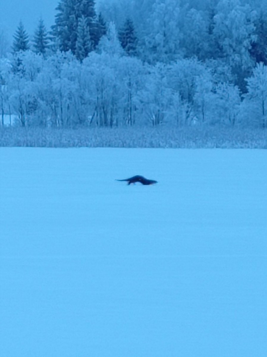 makek___'s tweet image. Ei tarvinnut yksin olla.