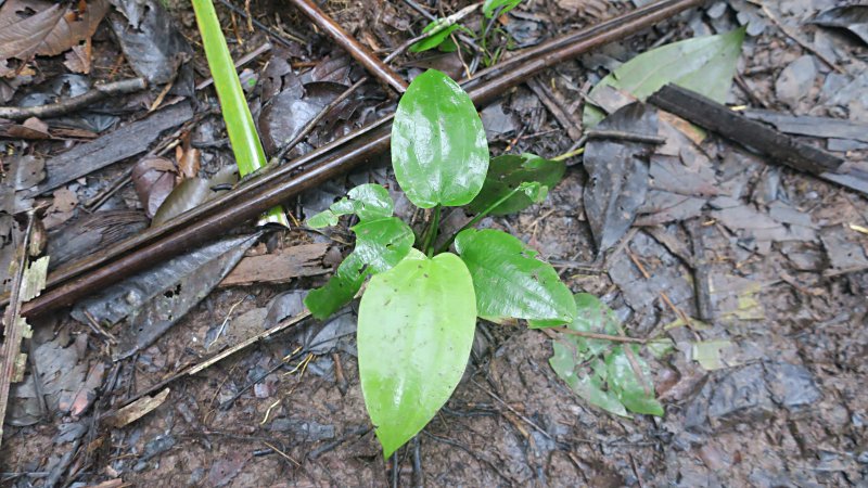 KENZO (@fw_kenzo) / Posts / X