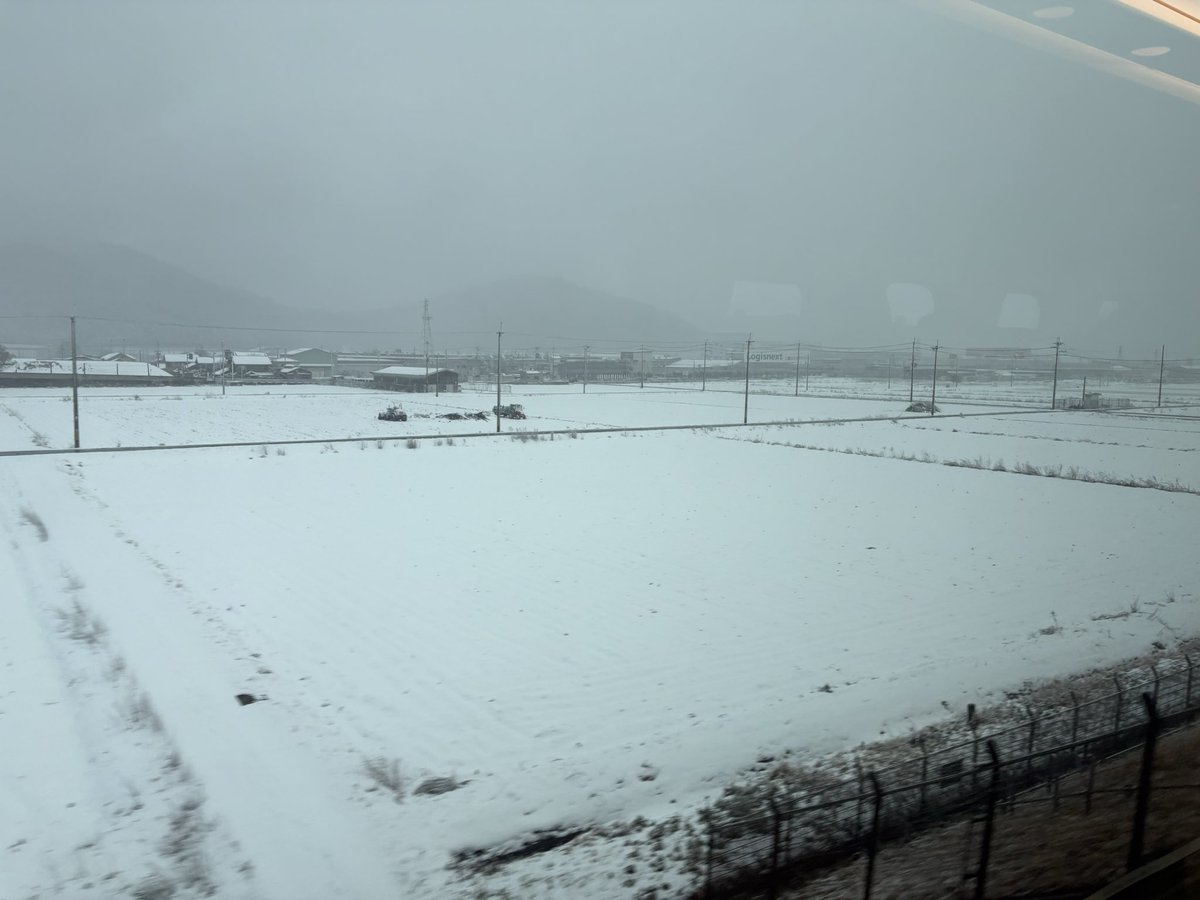 東北行きに間違って乗ったかと思った。