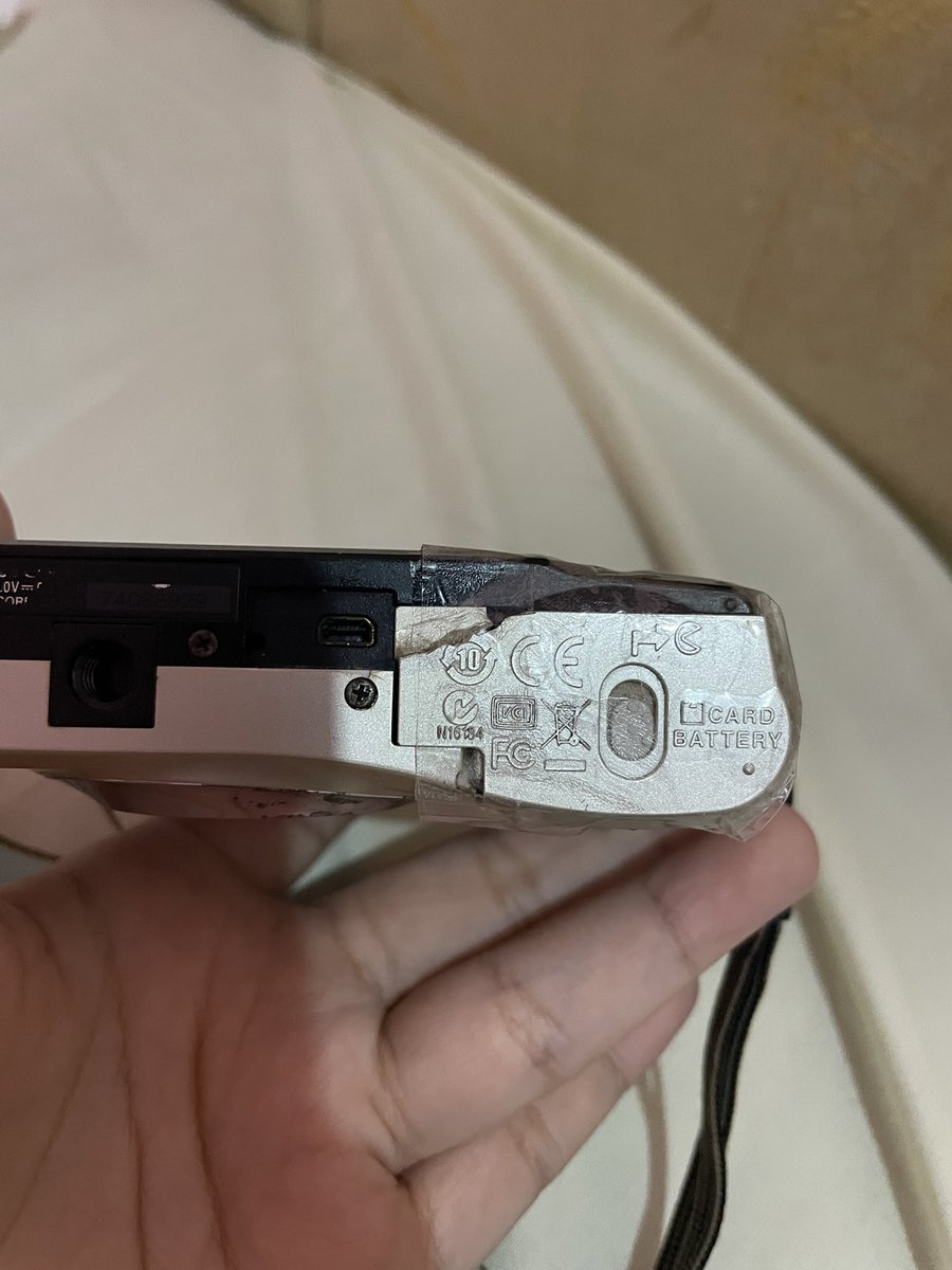 loveethecat tweet media