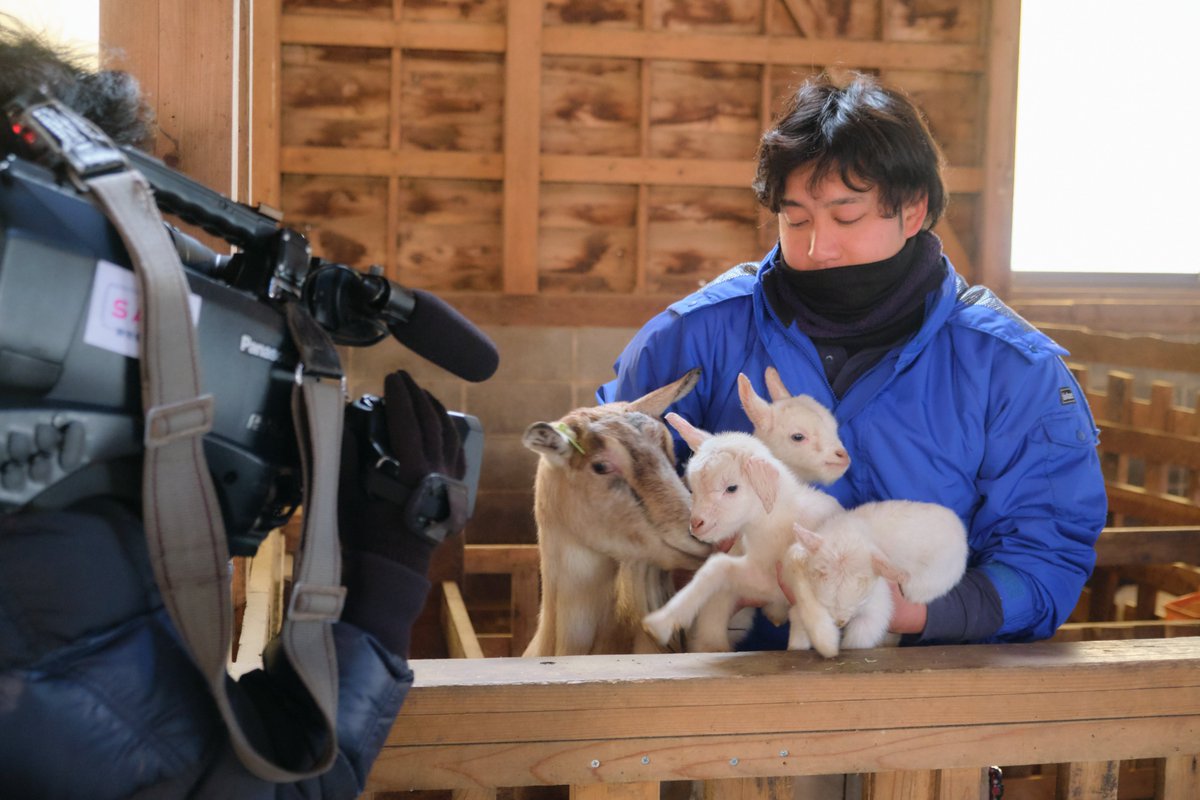 makaino_farm's tweet image. 【取材🐐】

⚠️⚠️⚠️⚠️⚠️⚠️⚠️⚠️⚠️⚠️⚠️⚠️
まかいの牧場は、本日は定休日です
⚠️⚠️⚠️⚠️⚠️⚠️⚠️⚠️⚠️⚠️⚠️⚠️

1/23(金)に生まれた三つ子赤ちゃんヤギたち😀
取材時の様子です😄
お母さんのみちるちゃんも、子どもたちが可愛くテレビ
に出ているか心配で覗き込んでいました✨

#まかいの牧場 #朝霧高原 #富士山