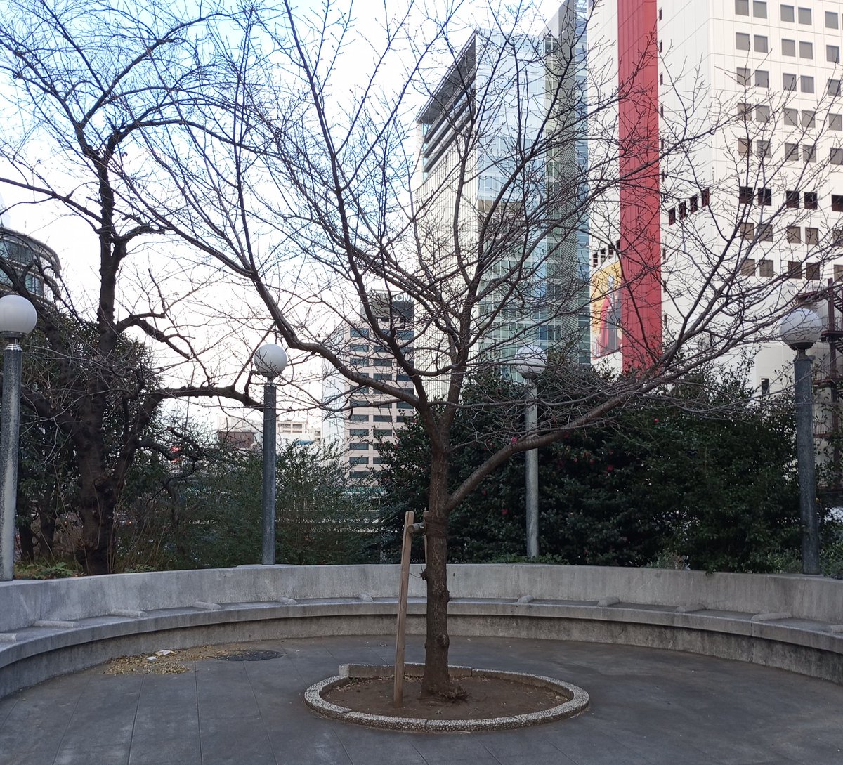 #連続ドラマportraits

本日は朝から撮影です❄️
さ、寒すぎる☃️

という訳で、今週は日曜ライブ配信も動画の公開も無いので、１話からのイッキ見をオススメ致します🥺
是非ぜひ〜🙇

#dramaportraits
#セクマイドラマ
#sexualminoritydrama
#レズビアンドラマ
#ゲイドラマ 
#YouTube