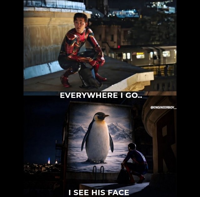 Engineer_Boy_'s tweet photo. Penguin 🐧💔 https://t.co/F4i0yCFrSE