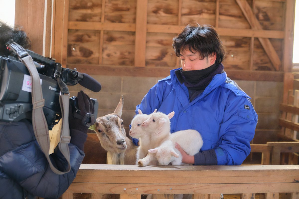 makaino_farm's tweet image. 【取材🐐】

⚠️⚠️⚠️⚠️⚠️⚠️⚠️⚠️⚠️⚠️⚠️⚠️
まかいの牧場は、本日は定休日です
⚠️⚠️⚠️⚠️⚠️⚠️⚠️⚠️⚠️⚠️⚠️⚠️

1/23(金)に生まれた三つ子赤ちゃんヤギたち😀
取材時の様子です😄
お母さんのみちるちゃんも、子どもたちが可愛くテレビ
に出ているか心配で覗き込んでいました✨

#まかいの牧場 #朝霧高原 #富士山