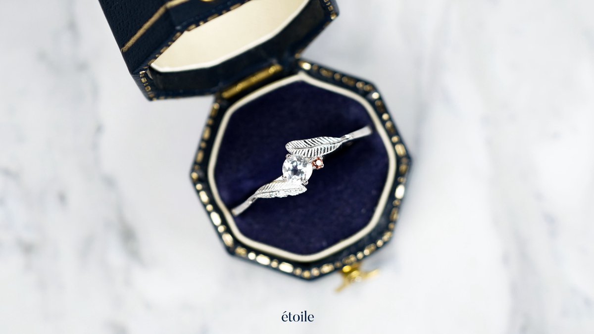 ᴏʀᴅᴇʀᴍᴀᴅᴇ | 925sɪʟᴠᴇʀ |

자캐 커플링 테마 반지 작업했습니다🖤🧡

각각 다른 모양의 깃털 사이에 화이트 토파즈와 블루 사파이어, 오렌지 사파이어를 세팅하였습니다 

맡겨주셔서 감사합니다🐦‍⬛🦉

#에트왈