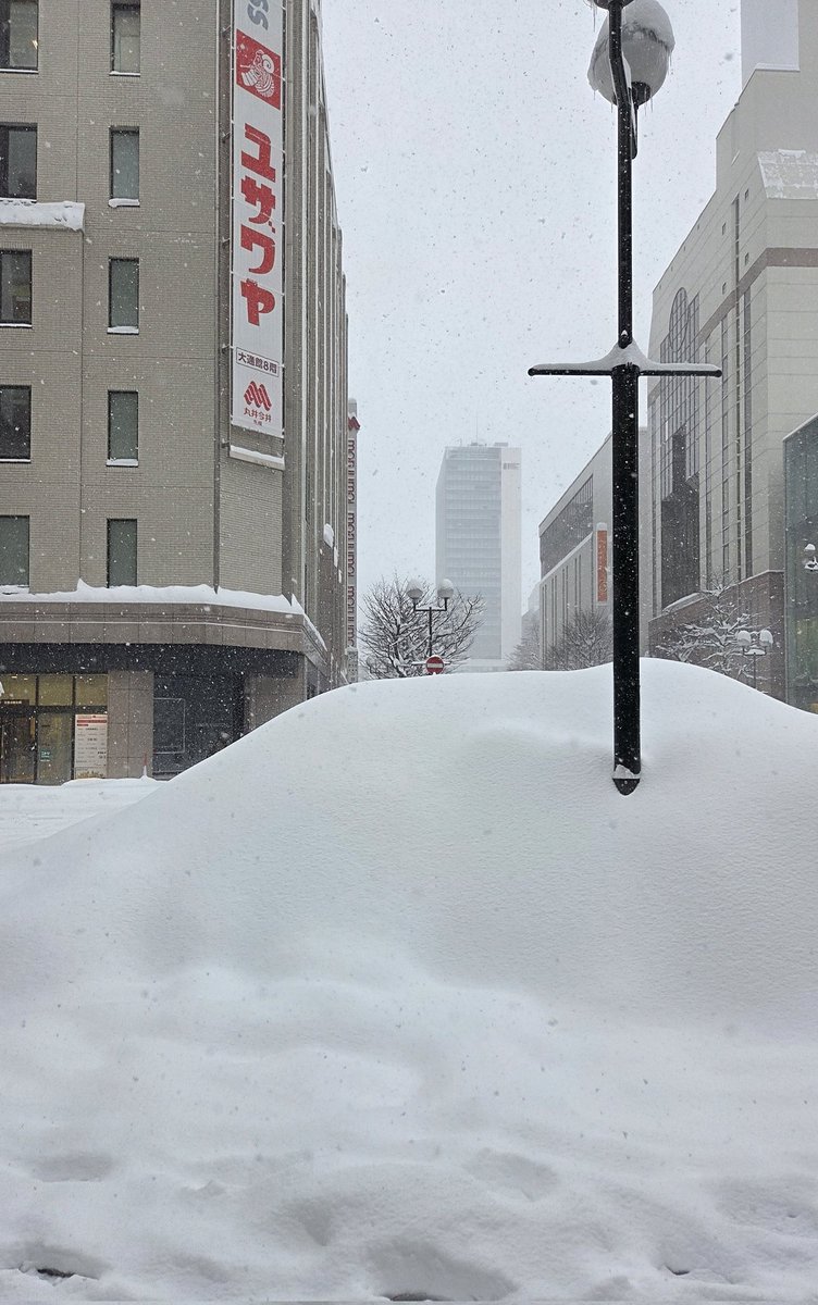 저는 삿포로에 갇혔어요... 고양이 밥주러 가야하는데...
버스도 JR도 운행중지...