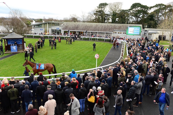 IHRB Raceday information tweet media