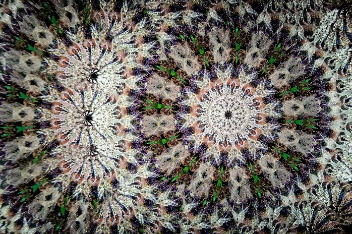 再入荷】GlassNique『Zingy』 美しく輝くガラスの筒の中を覗くと