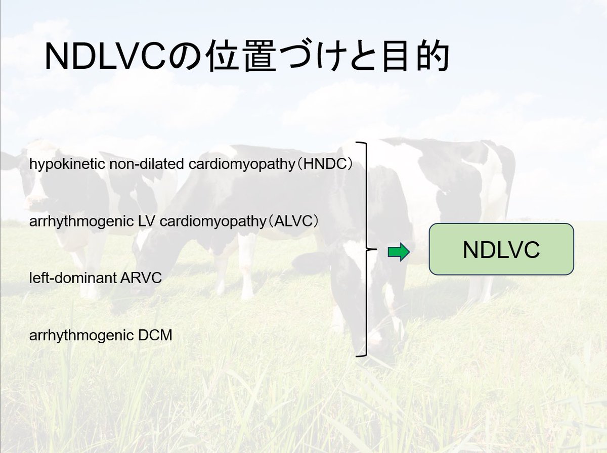 うし先生の2冊 循環器病棟の業務が全然わからないので、うし先生に聞いてみた